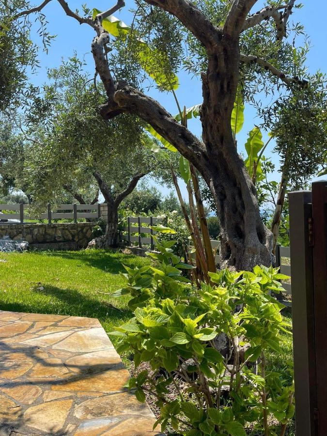 Triantis Apartments Lygia (Epirus) Exterior foto